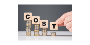Are Electric Wheelchairs Expensive? - eezychair