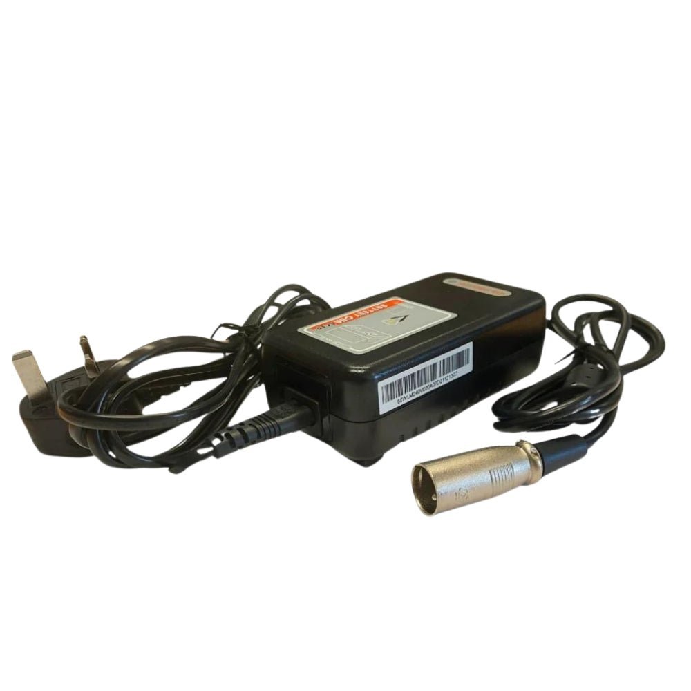 24V 2 Amp Lithium Battery Charger for eezychair range - eezychair